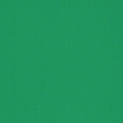 Cactus Green - Vinyle Matte AVERY DENNISON 61,5cm x 10m